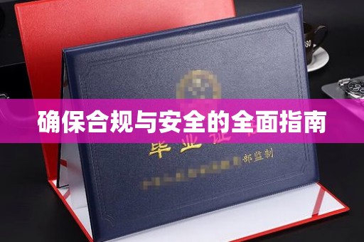 元阳确保合规与安全的全面指南