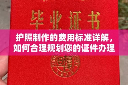 元阳护照制作的费用标准详解，如何合理规划您的证件办理预算