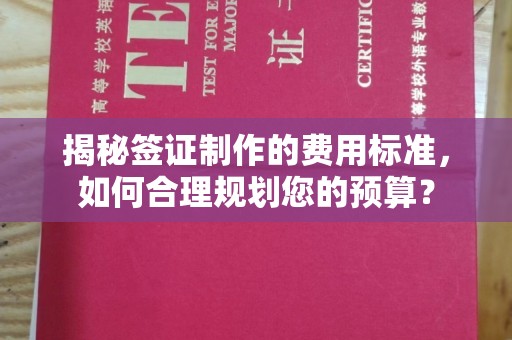 元阳揭秘签证制作的费用标准，如何合理规划您的预算？