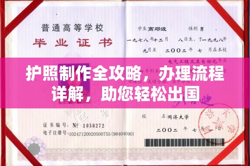 元阳护照制作全攻略，办理流程详解，助您轻松出国
