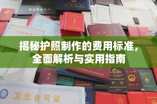 元阳揭秘护照制作的费用标准，全面解析与实用指南