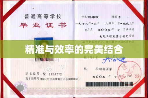 元阳精准与效率的完美结合